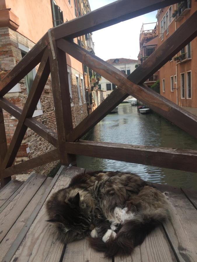Tintoretto Vista Real Venice Veneza Exterior foto